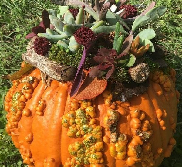 DIY a succulent pumpkin for your fall porch or a table centerpiece WildflowersAndWanderlust.com