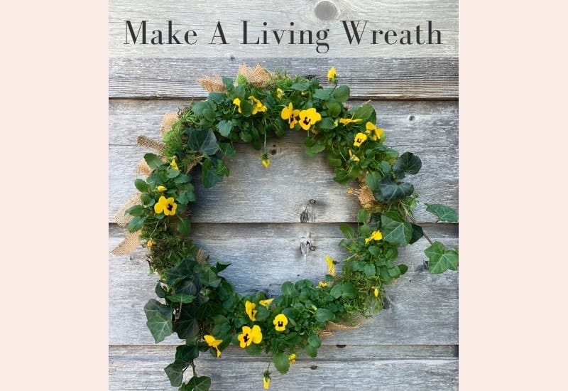 How to Make a Beautiful Live Floral Wreath Today
