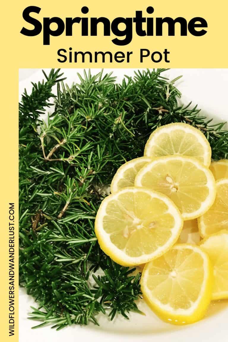 Make a Springtime Simmer Pot and your house will smell so fresh and clean just like spring | WildflowersAndWanderlust.com