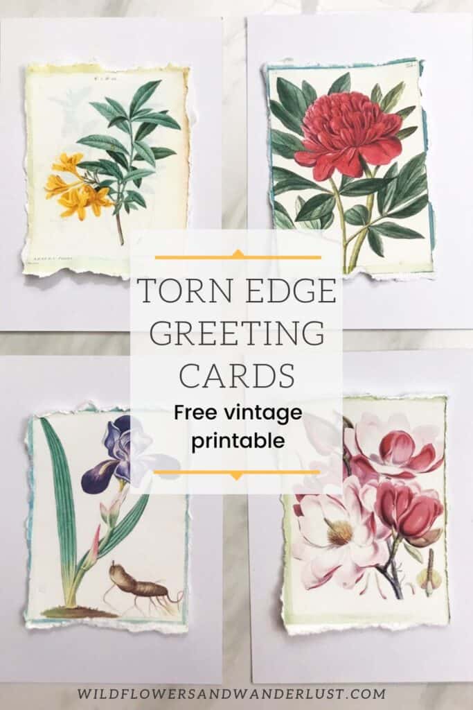 Make a torn edge greeting card with our free vintage printables | WildflowersAndWanderlust.com