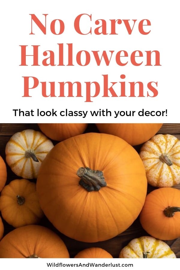 Great ideas for your Halloween Pumpkins that are classy and don't require any carving! WildflowersAndWanderlust.com