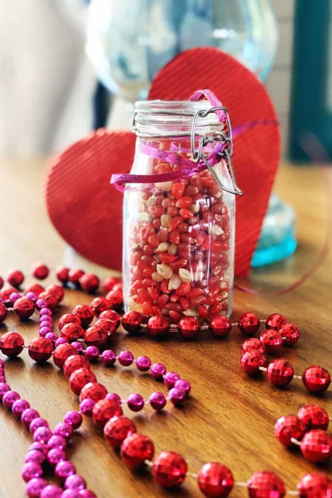 Colored popcorn seeds make a nice gift for Valentine's Day WildflowersAndWanderlust.com