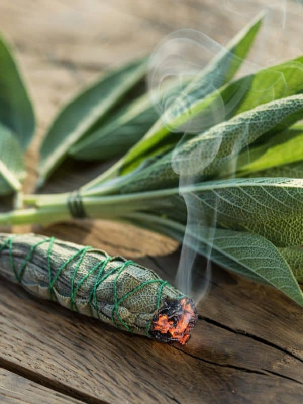 Do you use a sage stick, or smudge stick to cleanse your spaces? Find out how to DIY one | WildflowersAndWanderlust.com