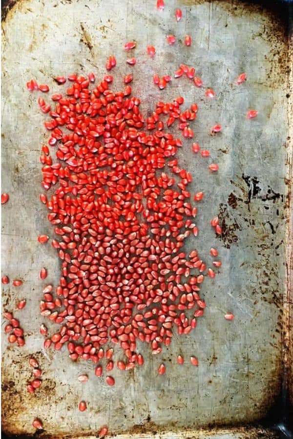 Spread your dyed pink popcorn seeds out on a cookie sheet to dry WildflowersAndWanderlust.com