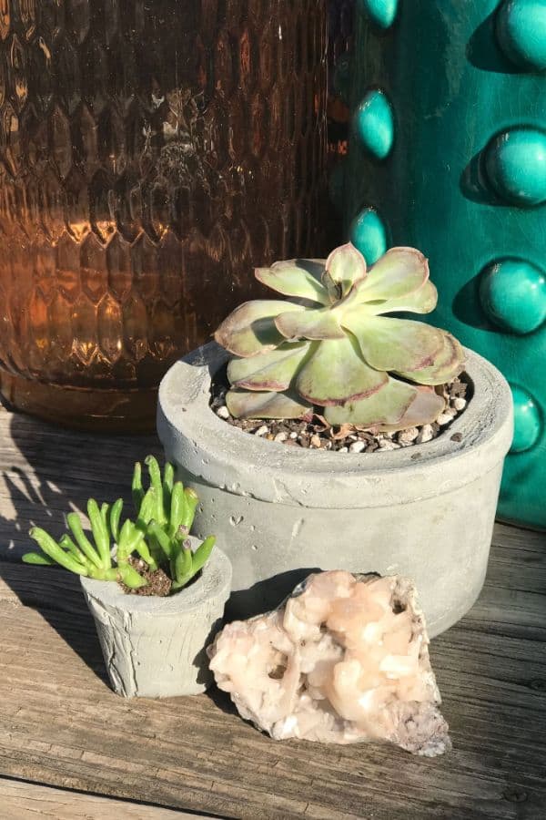 Make your own concrete planters and fill them with succulents for an easy and quick garden project  WildflowersAndWanderlust.com